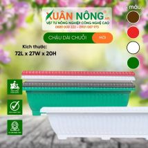 Chậu nhựa trồng cây - Chậu dài chuỗi