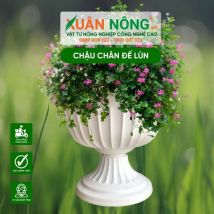 Chậu nhựa trồng cây - Chậu chân đế lùn