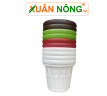 Chậu hoa cúc