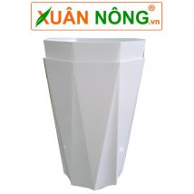 Chậu kim cương 8 cạnh