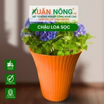 Chậu nhựa trồng cây - Chậu loa sọc 33cm
