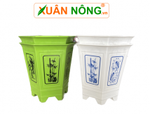 Chậu lục giác