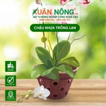 Chậu nhựa trồng lan