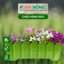 Chậu nhựa trồng hoa - Chậu hàng rào