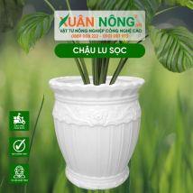 Chậu nhựa lu sọc