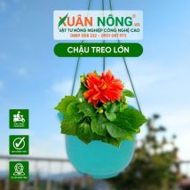 Chậu nhựa trổng cây - Chậu treo lớn