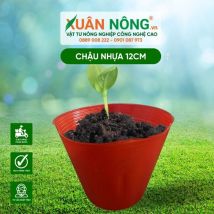 Chậu nhựa trồng cây - Chậu nhựa dẻo màu đỏ 12cm