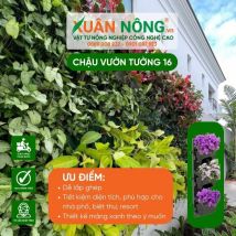 Chậu nhựa trồng cây - Chậu vườn tường 16