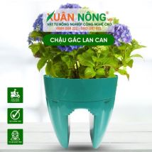 Chậu nhựa trồng cây - Chậu gác lan can