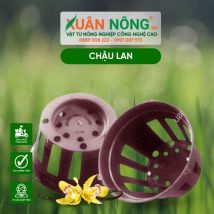 Chậu nhựa trồng lan - Chậu lan