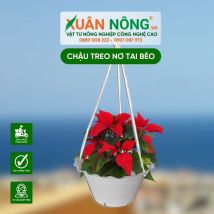 Chậu nhựa trồng hoa - Chậu treo nơ tai bèo