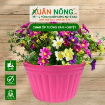 Chậu nhựa trồng cây - Chậu ốp tường bán nguyệt