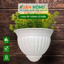 Chậu nhựa trồng cây - Chậu ốp tường cổ điển