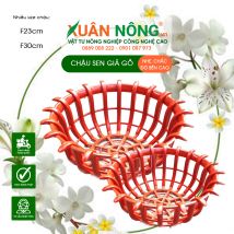Chậu nhựa trồng lan - Chậu sen F23