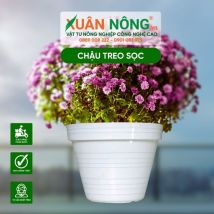 Chậu nhựa trồng cây - Chậu treo sọc