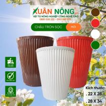 Chậu nhựa trồng cây - Chậu tròn sọc