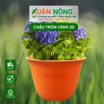 Chậu nhựa trồng cây - Chậu tròn vành 20