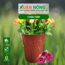 Chậu nhựa trồng cây - Chậu sen 22