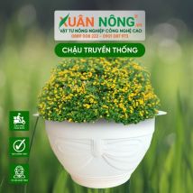 Chậu nhựa trồng cây - Chậu truyền thống