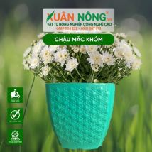 Chậu nhựa trồng cây - Chậu mắc khóm 16