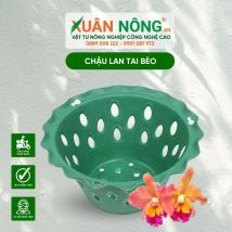 Chậu nhựa trồng lan - Chậu lan tai bèo