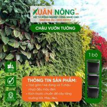 Chậu nhựa trồng cây - Chậu vườn tường