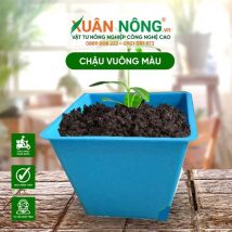 Chậu nhựa trồng cây - Chậu vuông màu