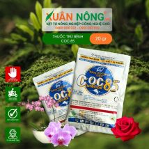 Coc85