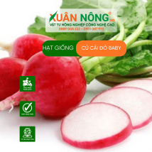 Hạt giống củ cải đỏ baby