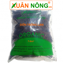 Dớn trồng lan