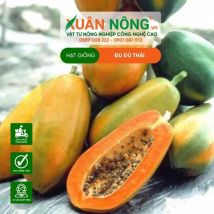 HẠT GIỐNG ĐU ĐỦ THÁI