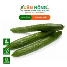 HẠT GIỐNG DƯA LEO NHẬT LAI F1