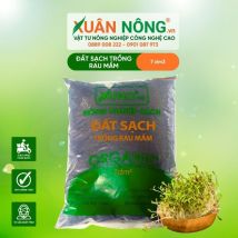 Đất sạch chuyên trồng rau mầm: Bí quyết trồng rau tại nhà đơn giản