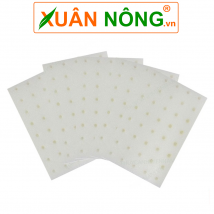 Giá thể mút xốp ươm hạt thủy canh
