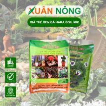 Đất trồng sen đá - kiểng lá