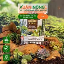 Giá thể trồng xương rồng và sen đá