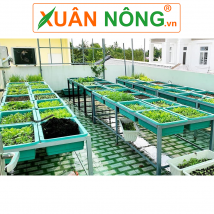 Giàn rau sạch 16 chậu