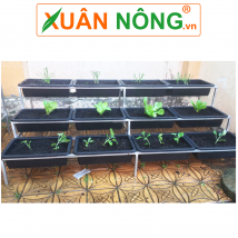Giàn rau sạch 3 tầng 12 chậu