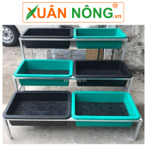 Giàn rau sạch 3 tầng 6 chậu