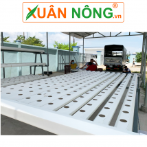 Giàn rau thủy canh 11 ống dài 3m