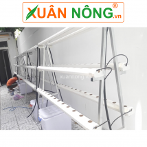 Giàn thủy canh 6 ống 72 rọ