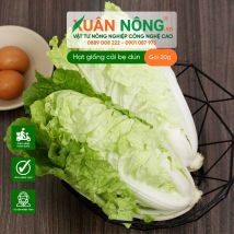 Hạt giống cải bẹ dún