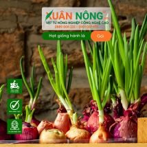 Hạt giống hành lá