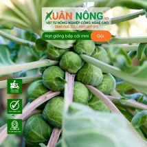 Hạt giống bắp cải mini