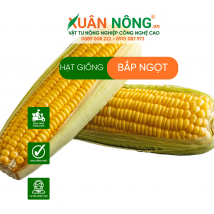 Hạt giống bắp ngọt