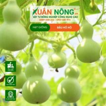 HẠT GIỐNG BẦU HỒ LÔ
