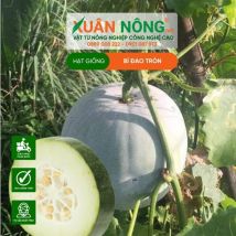 HẠT GIỐNG BÍ ĐAO TRÁI TRÒN