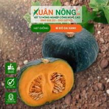 HẠT GIỐNG BÍ ĐỎ DA XANH