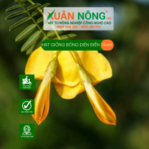 Hạt giống bông điên điển