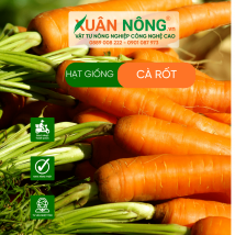 Hạt giống cà rốt